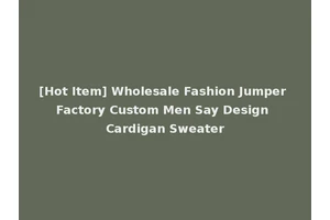[Hot Item] Wholesale Fashion Jumper Factory Custom Men Say Design Cardigan Sweater