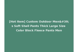 [Hot Item] Custom Outdoor Men's Soft Shell Pants Thick Large Size Color Block Fleece Pants Men