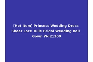 [Hot Item] Princess Wedding Dress Sheer Lace Tulle Bridal Wedding Ball Gown Wd21300