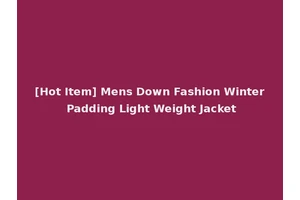 [Hot Item] Mens Down Fashion Winter Padding Light Weight Jacket