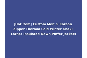 [Hot Item] Custom Men′ S Korean Zipper Thermal Cold Winter Khaki Lather Insulated Down Puffer Jackets