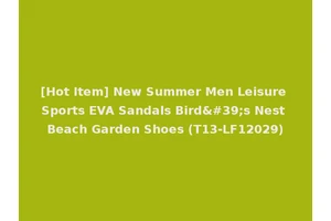 [Hot Item] New Summer Men Leisure Sports EVA Sandals Bird's Nest Beach Garden Shoes (T13-LF12029)