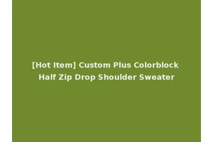 [Hot Item] Custom Plus Colorblock Half Zip Drop Shoulder Sweater
