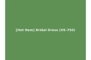 [Hot Item] Bridal Dress (HS-750)