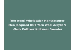 [Hot Item] Wholesaler Manufacturer Men Jacquard DOT Yarn Wool Acrylic V-Neck Pullover Knitwear Sweater