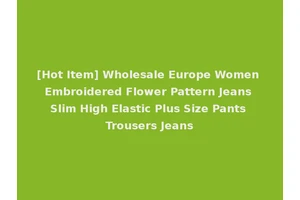 [Hot Item] Wholesale Europe Women Embroidered Flower Pattern Jeans Slim High Elastic Plus Size Pants Trousers Jeans