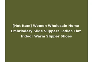 [Hot Item] Women Wholesale Home Embriodery Slide Slippers Ladies Flat Indoor Warm Slipper Shoes