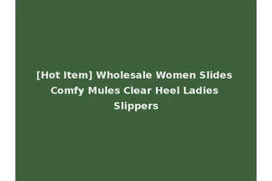 [Hot Item] Wholesale Women Slides Comfy Mules Clear Heel Ladies Slippers