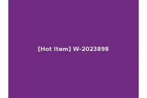 [Hot Item] W-2023898