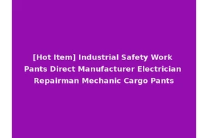 [Hot Item] Industrial Safety Work Pants Direct Manufacturer Electrician Repairman Mechanic Cargo Pants