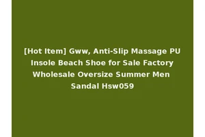 [Hot Item] Gww, Anti-Slip Massage PU Insole Beach Shoe for Sale Factory Wholesale Oversize Summer Men Sandal Hsw059