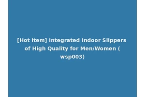 [Hot Item] Integrated Indoor Slippers of High Quality for Men/Women (wsp003)