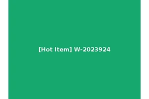 [Hot Item] W-2023924