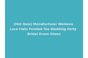 [Hot Item] Manufacturer Womens Lace Flats Pointed Toe Wedding Party Bridal Dress Shoes