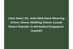 [Hot Item] Zh, Anti-Skid Hard Wearing Driver Shoes Walking Shoes Casual Shoes Popular in Barbados/Singapore Hsw065
