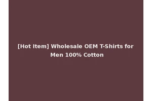 [Hot Item] Wholesale OEM T-Shirts for Men 100% Cotton