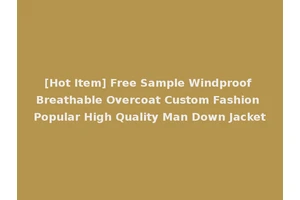 [Hot Item] Free Sample Windproof Breathable Overcoat Custom Fashion Popular High Quality Man Down Jacket