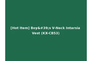 [Hot Item] Boy's V-Neck Intarsia Vest (KX-CB53)