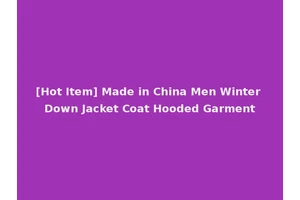 [Hot Item] Made in China Men Winter Down Jacket Coat Hooded Garment