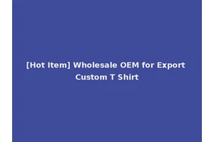 [Hot Item] Wholesale OEM for Export Custom T Shirt