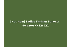 [Hot Item] Ladies Fashion Pullover Sweater Cx12s121