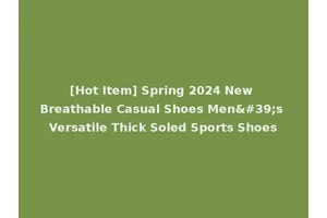 [Hot Item] Spring 2024 New Breathable Casual Shoes Men's Versatile Thick Soled Sports Shoes