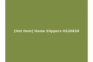 [Hot Item] Home Slippers HS20839