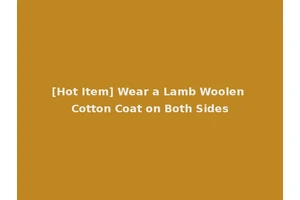 [Hot Item] Wear a Lamb Woolen Cotton Coat on Both Sides