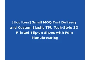 [Hot Item] Small MOQ Fast Delivery and Custom Elastic TPU Tech-Style 3D Printed Slip-on Shoes with Fdm Manufacturing