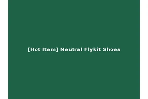 [Hot Item] Neutral Flykit Shoes