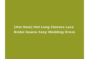 [Hot Item] Hot Long Sleeves Lace Bridal Gowns Sexy Wedding Dress