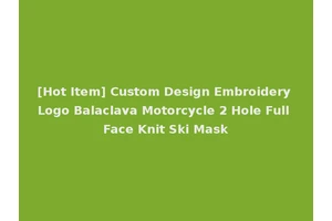 [Hot Item] Custom Design Embroidery Logo Balaclava Motorcycle 2 Hole Full Face Knit Ski Mask