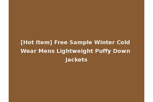 [Hot Item] Free Sample Winter Cold Wear Mens Lightweight Puffy Down Jackets