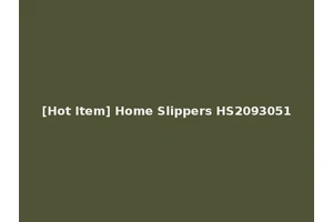 [Hot Item] Home Slippers HS2093051