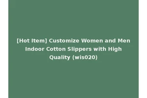 [Hot Item] Customize Women and Men Indoor Cotton Slippers with High Quality (wis020)