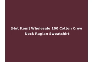[Hot Item] Wholesale 100 Cotton Crew Neck Raglan Sweatshirt