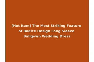 [Hot Item] The Most Striking Feature of Bodice Design Long Sleeve Ballgown Wedding Dress