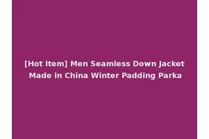 [Hot Item] Men Seamless Down Jacket Made in China Winter Padding Parka