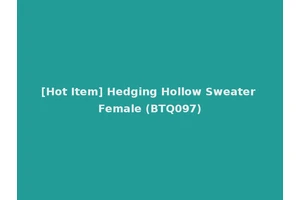[Hot Item] Hedging Hollow Sweater Female (BTQ097)