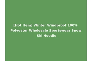 [Hot Item] Winter Windproof 100% Polyester Wholesale Sportswear Snow Ski Hoodie
