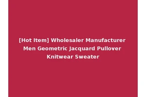 [Hot Item] Wholesaler Manufacturer Men Geometric Jacquard Pullover Knitwear Sweater