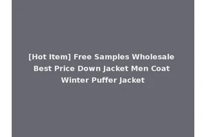 [Hot Item] Free Samples Wholesale Best Price Down Jacket Men Coat Winter Puffer Jacket