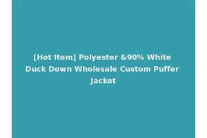 [Hot Item] Polyester &90% White Duck Down Wholesale Custom Puffer Jacket
