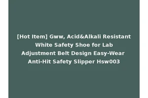[Hot Item] Gww, Acid&Alkali Resistant White Safety Shoe for Lab Adjustment Belt Design Easy-Wear Anti-Hit Safety Slipper Hsw003