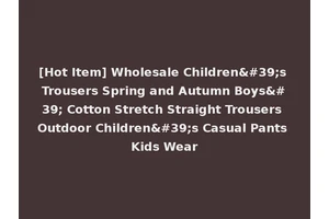 [Hot Item] Wholesale Children's Trousers Spring and Autumn Boys' Cotton Stretch Straight Trousers Outdoor Children's Casual Pants Kids Wear