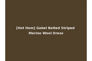 [Hot Item] Gabel Belted Striped Merino Wool Dress