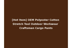 [Hot Item] OEM Polyester Cotton Stretch Tool Outdoor Workwear Craftsman Cargo Pants