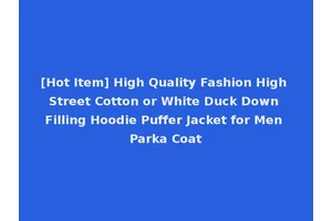 [Hot Item] High Quality Fashion High Street Cotton or White Duck Down Filling Hoodie Puffer Jacket for Men Parka Coat