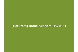 [Hot Item] Home Slippers HS20831