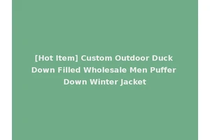 [Hot Item] Custom Outdoor Duck Down Filled Wholesale Men Puffer Down Winter Jacket